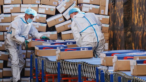 奧密克戎本土確診突破400人, 動態清零 將如何繼續